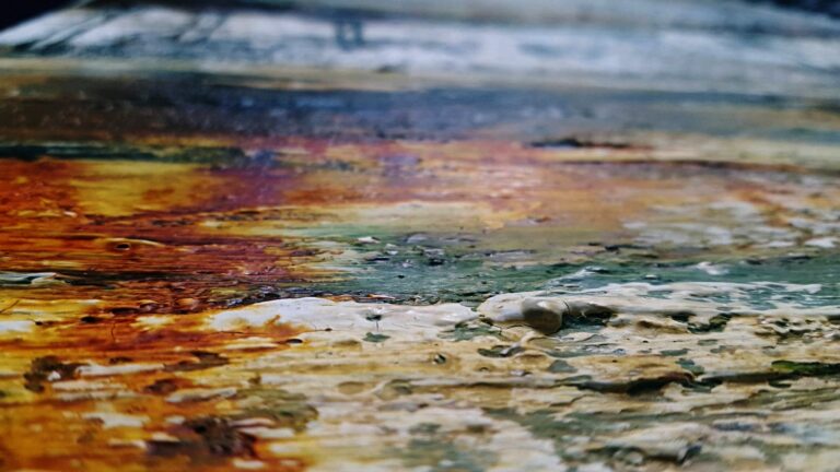 27021918_2027608954119331_7597291704708688099_o_edited