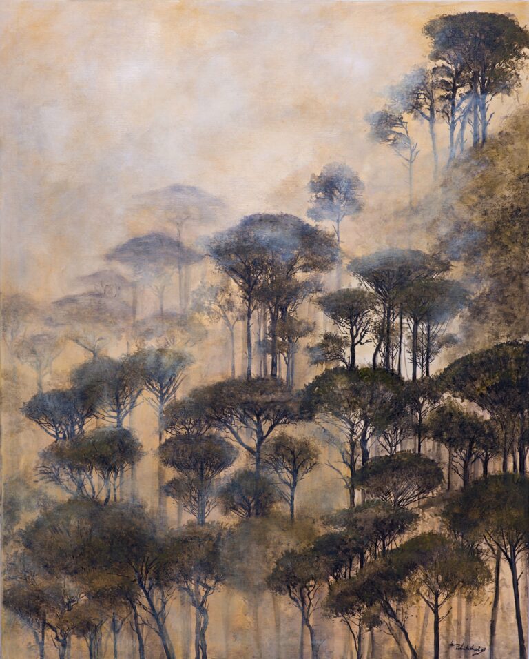 up to table mountain - kopie