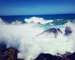 processed by AtomJPEG 1.5.0n