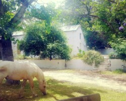 processed by AtomJPEG 1.5.0n